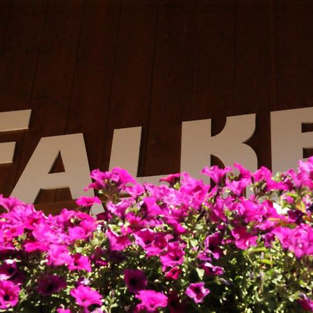 Haus Falke ゼルデン エクステリア 写真
