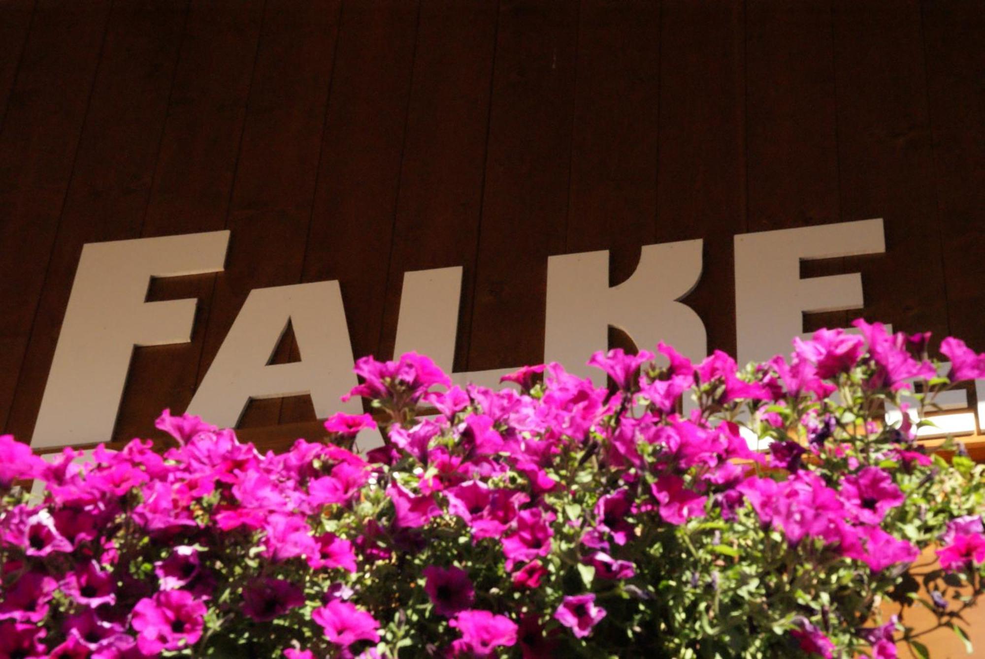 Haus Falke ゼルデン エクステリア 写真